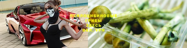 СК Аркадак