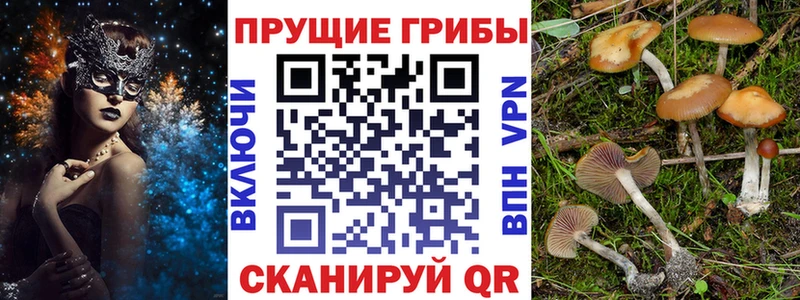 дарнет шоп  KRAKEN онион  Галлюциногенные грибы ЛСД  Нижние Серги 